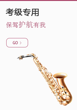 為何薩克斯價格差距那么大？新手選哪種價位的薩克斯？