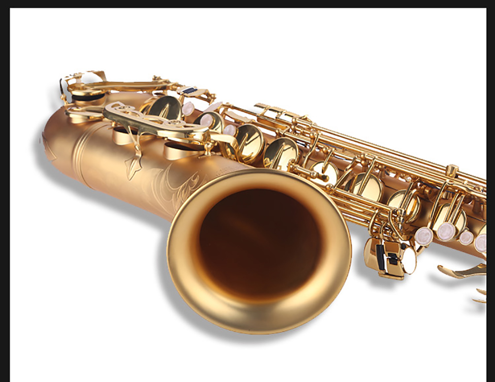 1583735911807178.jpg 薩克斯736---副本2_02.jpg